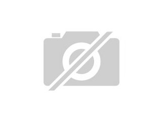 Suche EFH oder DHH in Burglengenfeld